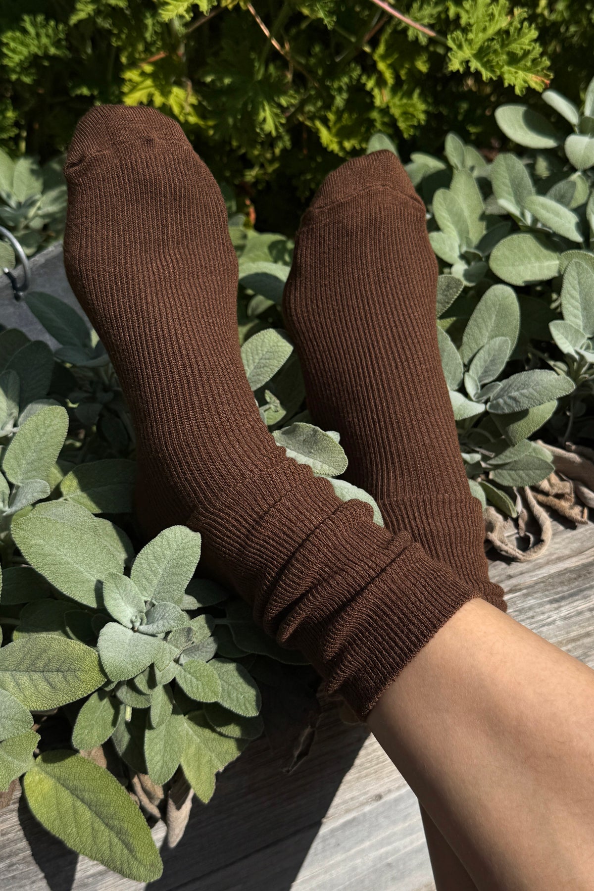 Trouser Socks - Dijon
