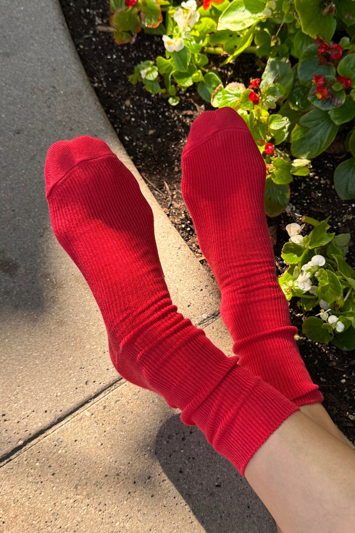Chaussettes Pantalon - Rouge à Lèvres Rouge