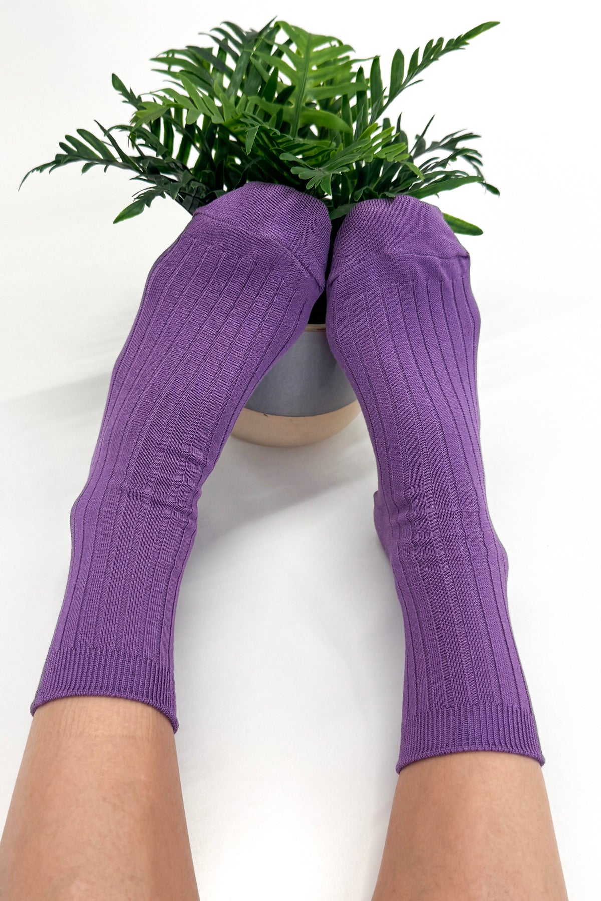 Her Socks (MC cotton) - Violet