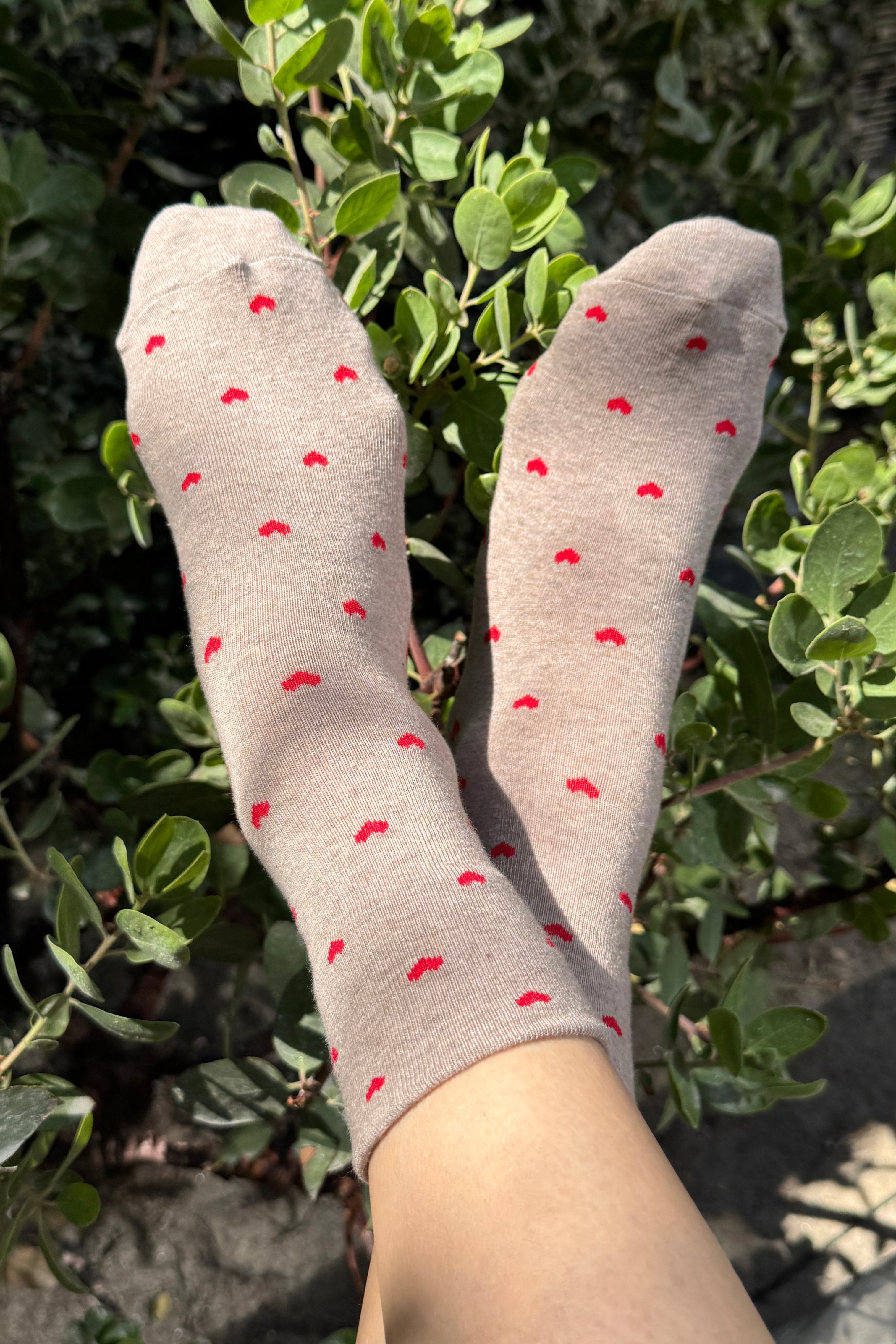 Heart Sneaker Socks - Latte/ Red